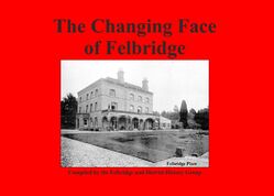 Changibn Face of Felbridge Cover.jpg